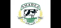 SMADEA